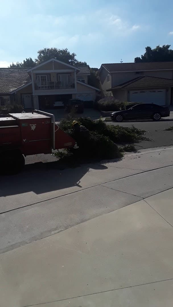 Unique Tree Service image 2