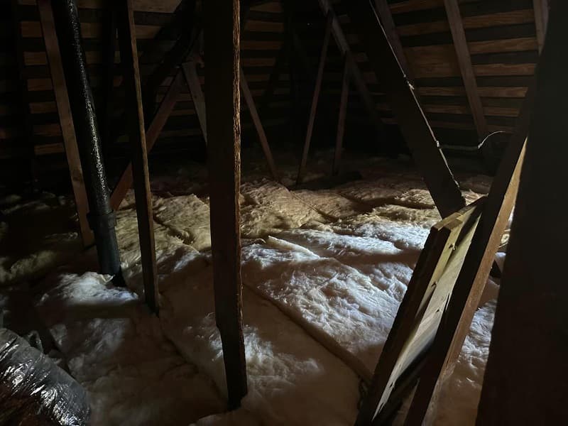 Neo Attic Solutions image 3