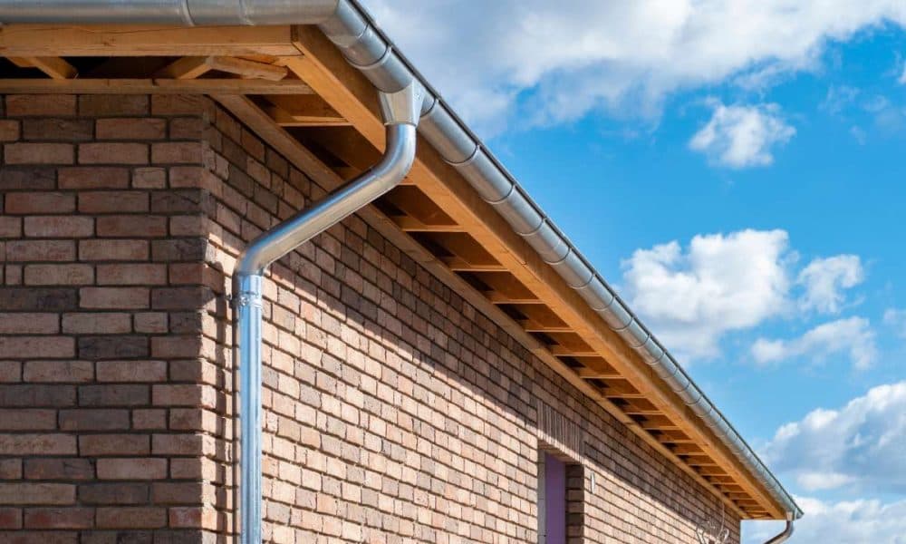 Hailey's Pro Service image 3